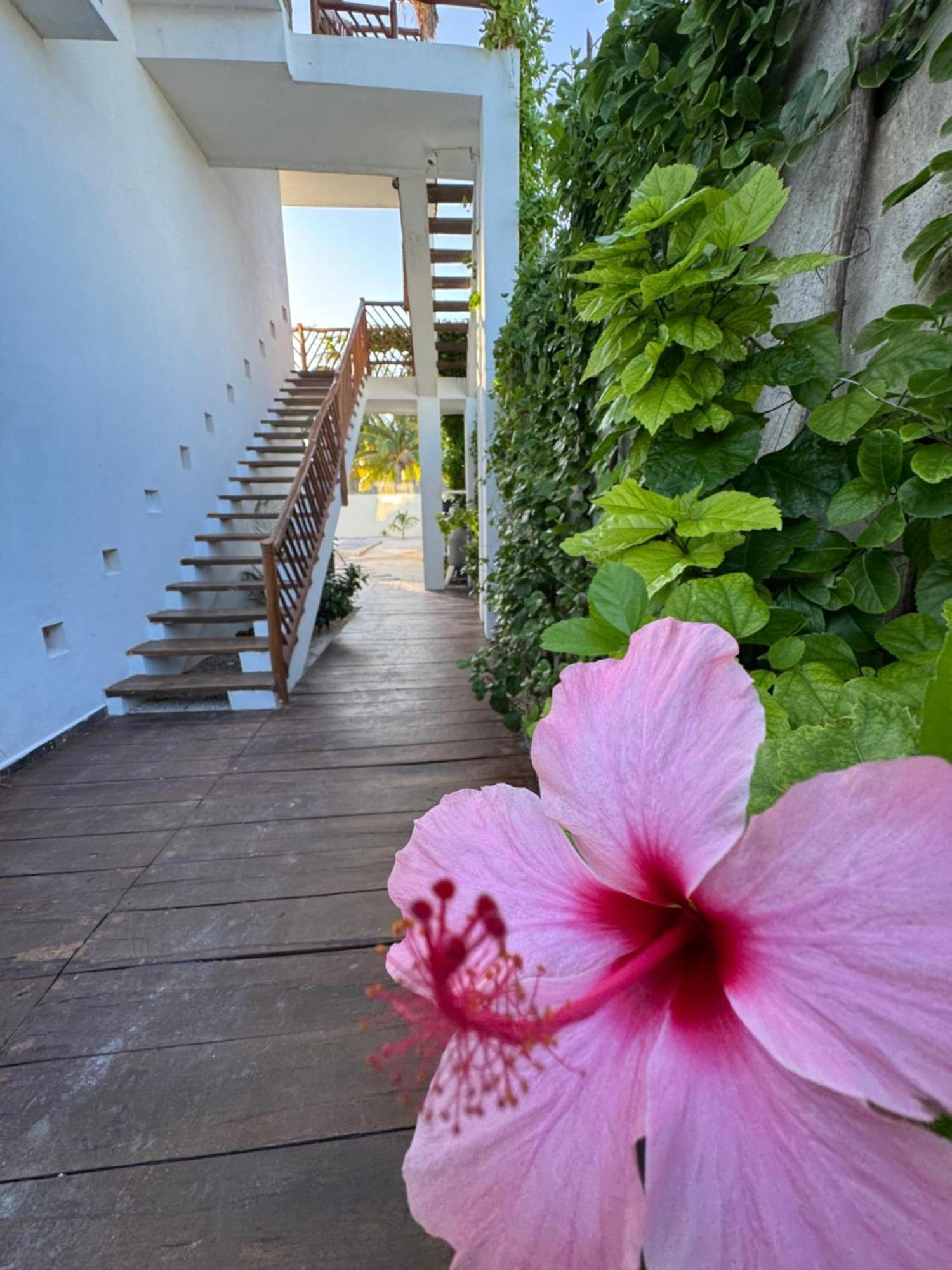Mexhe Hotel Эль-Куйо Экстерьер фото